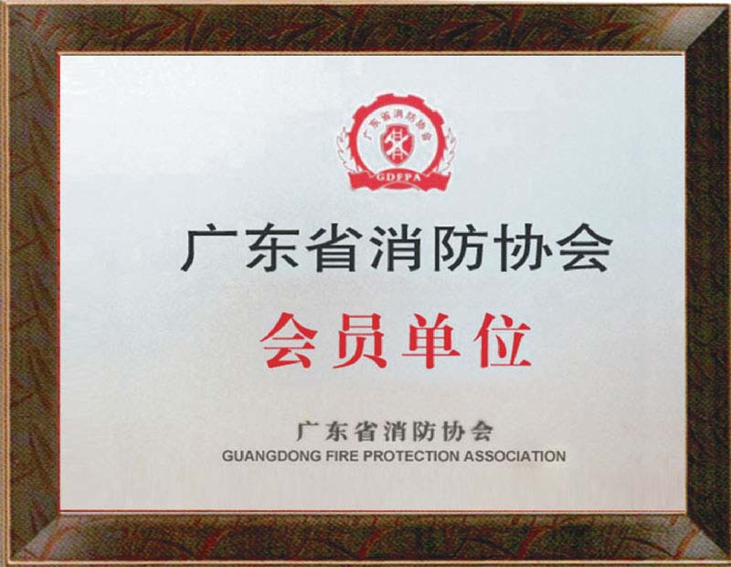 广东省消防会员证书